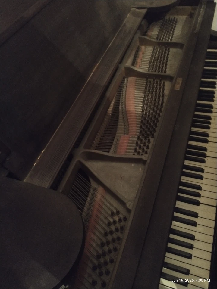 AB CHASE vintage BABY GRAND PIANO WITH BENCH in Tiger Mahogany - Image 3 of 4