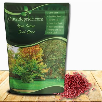 5 LBS - OptiGrowth Coated Hard Fescue Grass Seed - Low Growing Fine Fescue  | eBay
