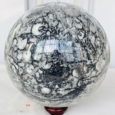 Natural Insectconch fossil crystal Ball Quartz Crystal Sphere Reiki Healing3480G