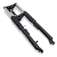 Gabel Sachs/Hercules Schwarz EBR
