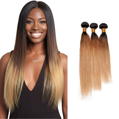 U50631 with tags Straight Human Hair Bundles T1B3027 Ombre 100 Brazilian G2U