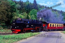 DR 99 7239-9  Harz 1991 / org. Dia + Datei!  421#06