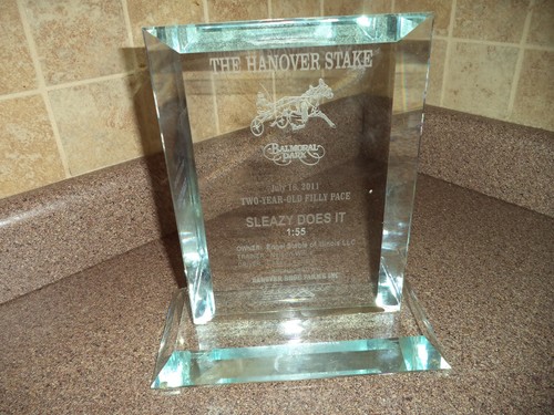 Balmoral Park, Illinois 2011 Harness Racing Glass Trophy "SLEAZY DOES IT" - 第 7/11 張圖片