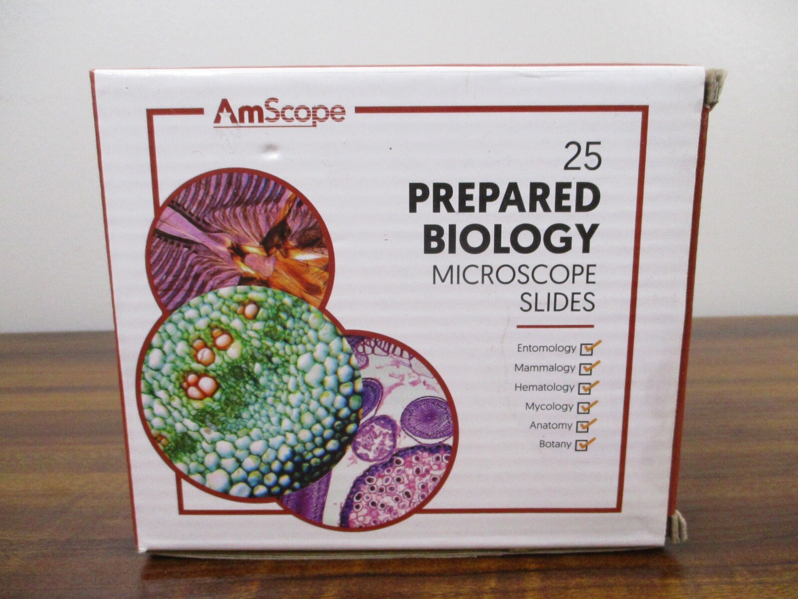 AmScope 25 Prepared Microscope Slides Glass with Wooden Box PS25W NEW