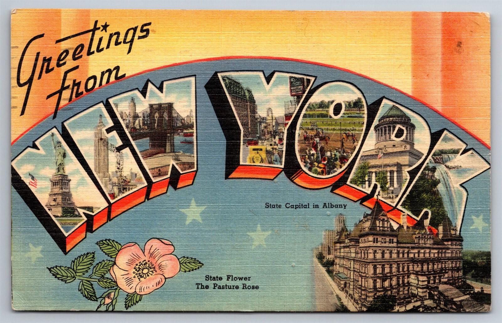 New York Large Letter Greetings NY C1950s Postcard Y21