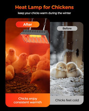 Heat Lamp for Chicken Coop, 250W Waterproof Brooder Heater for Indoor  Outdoor