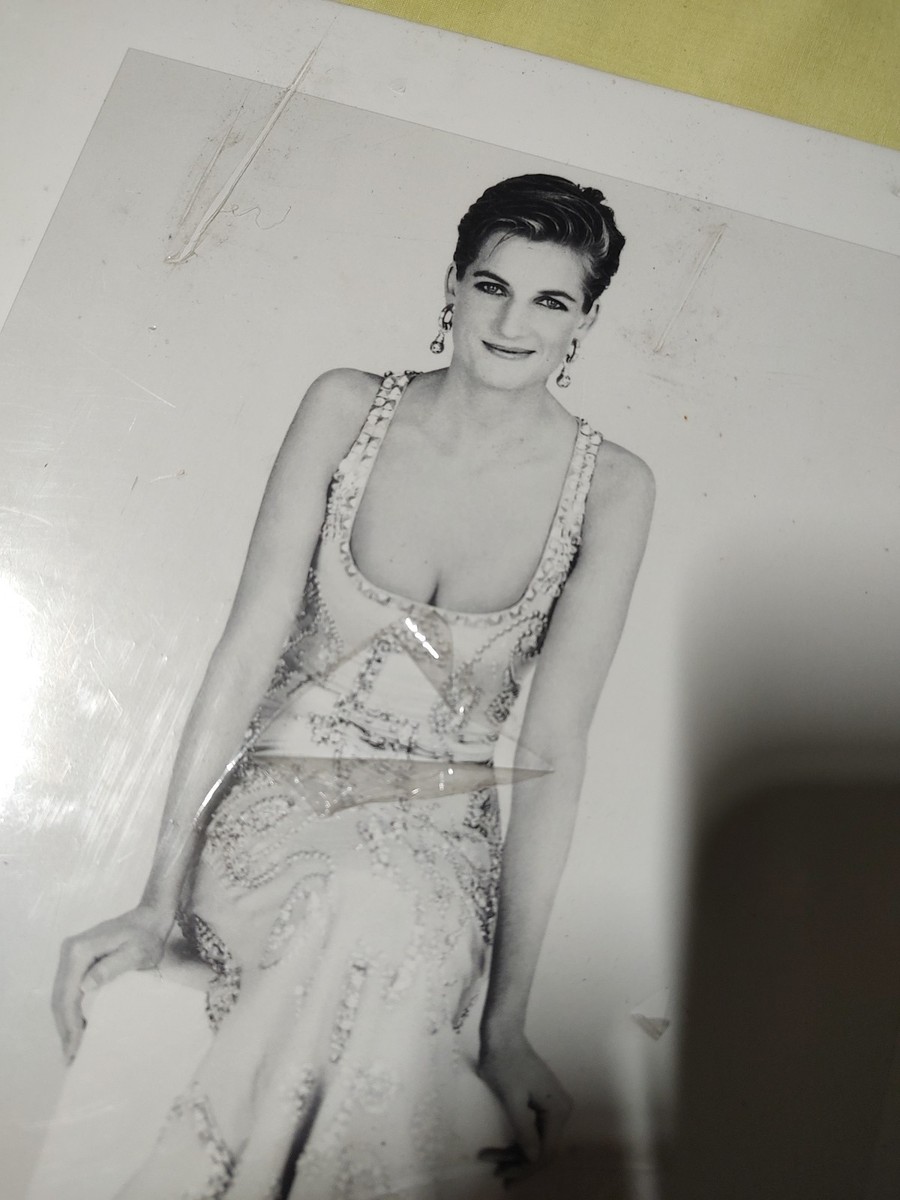 Diana : The Portrait by Rosalind Coward (2004, Hardcover) for sale