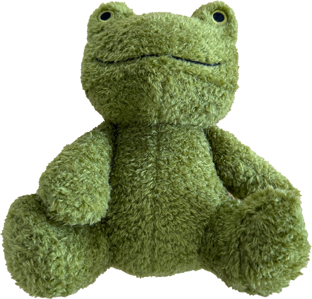 HEM & BOO PLUSH FROG DOG TOY SQUEAKY PET CHEW PUPPY TOY 19CM