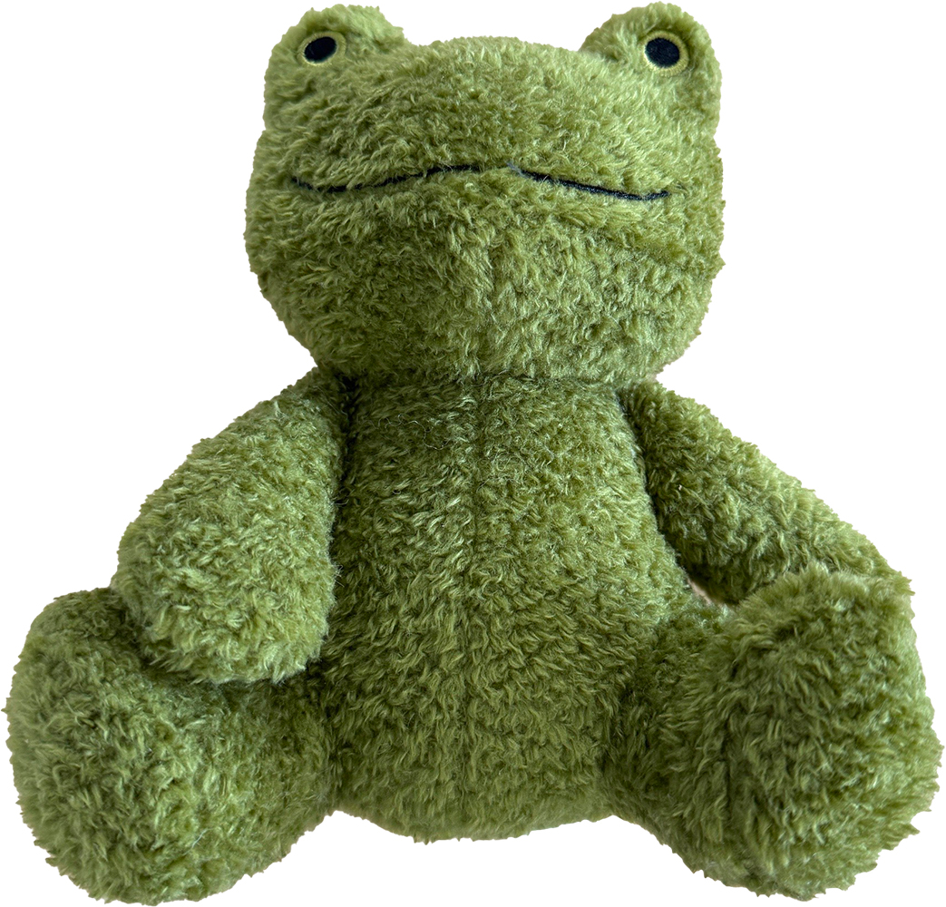 HEM & BOO PLUSH FROG DOG TOY SQUEAKY PET CHEW PUPPY TOY 19CM