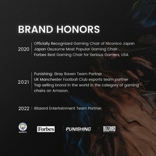 Ergonomic Mesh Gaming Chair W Footrest Adjustable Office Chair Comfort 6