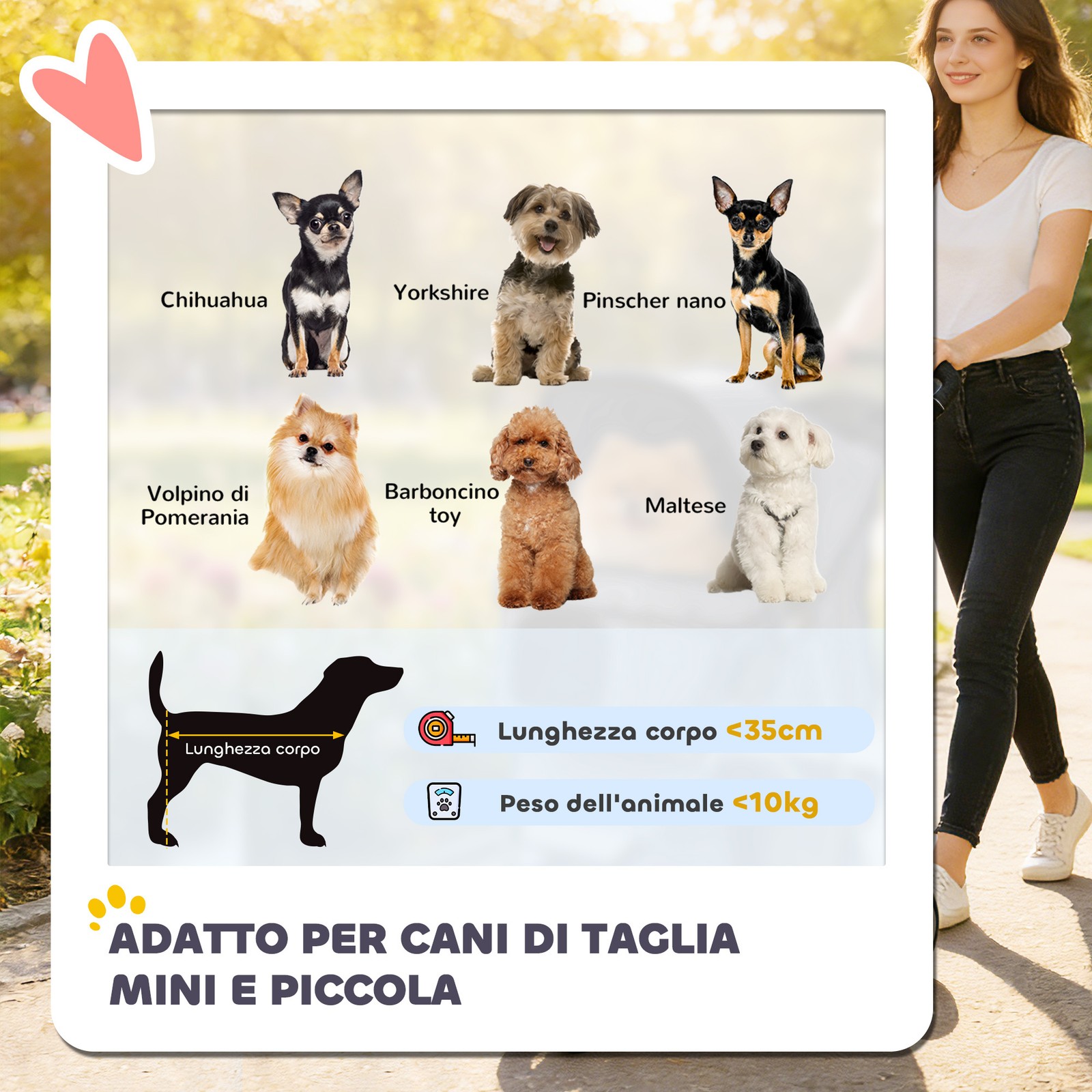 Passeggino per cani pieghevole con copertura antipioggia foto 4