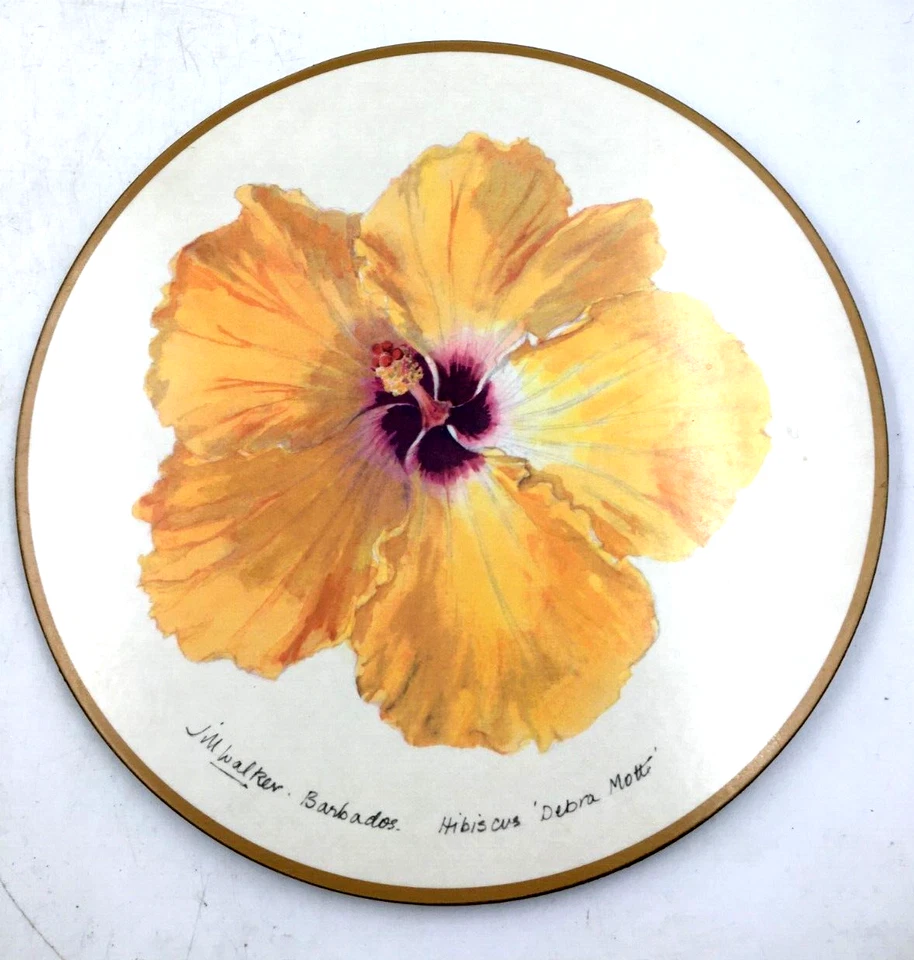 Pimpernel Jill Walker Hibiscus Juego de 4 manteles individuales 10" acrílico y corcho Inglaterra Foto 3 de 4