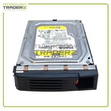 WD2503ABYZ Western Digital RE 250GB 7.2K SATA 6G 64MB 3.5” HDD WD2503ABYZ-011FA0
