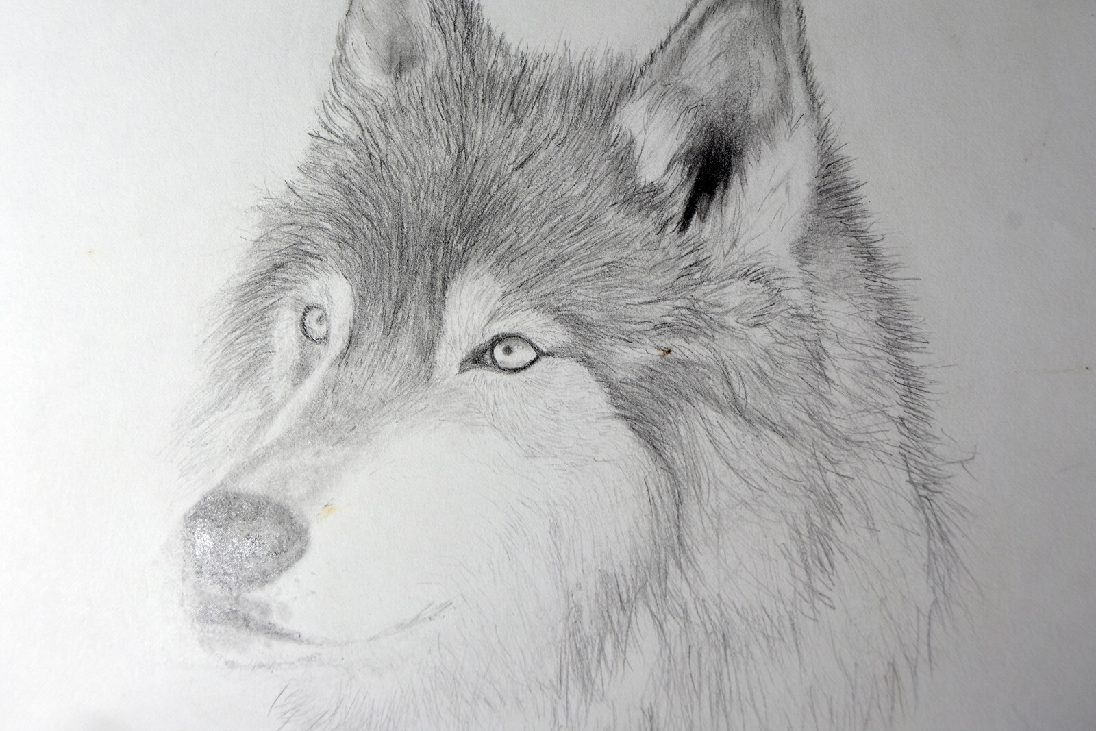 Picture 2 of 5