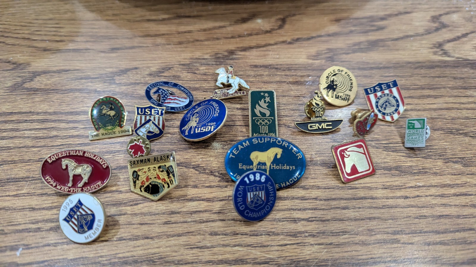Equestrian Pin Collection - image 1