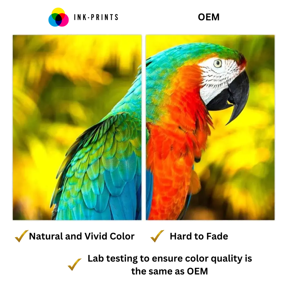 604XL INK CARTRIDGE For Use In Epson XP-2200 XP-2205 XP-3200 XP-4200 WF ...