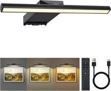 12" Picture Lights for Wall, 10000mAh USB Rechargeable Art Wall Lamp & Remote