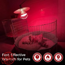 MISDOOD 250W Red Infrared Heat Lamp Bulb Flood Light 2 Pack Food Brooder