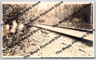 Spruce Hens Birds on Railroad Tracks RPPC Antique Farm Bird Train Photo ~1910s