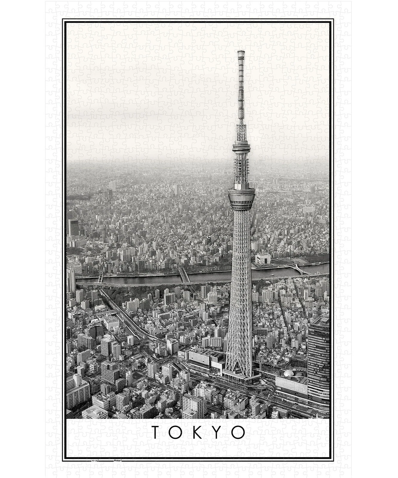 Rompecabezas de plástico blanco