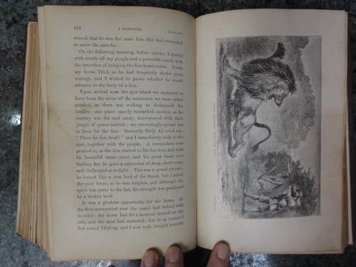 Exploration of The Nile Tributaries of Abyssinia Sir SW Baker 1869 Antique Book - Picture 16 of 19
