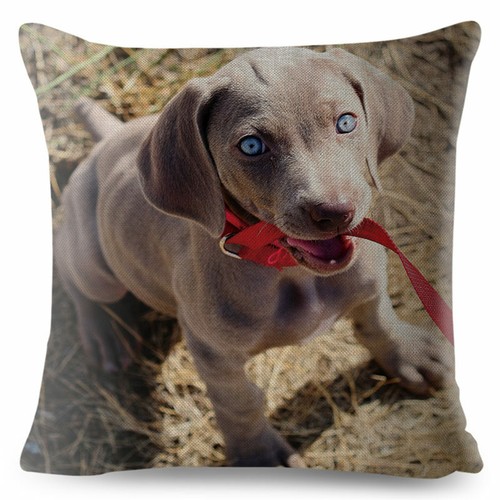 Germany Weimaraner Dog Cushion Cover for Car Sofa Home Pillow Case Decor Animal - Picture 27 of 31