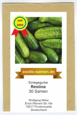 Einlegegurke Restina F1 Hybride - mehltauresistent - bitterstofffrei - 30 Samen