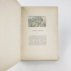 Foto 7 di 13