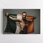 Conor McGregor Poster Canvas UFC MMA Wall Art Print #22