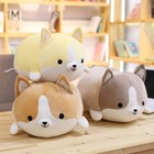 Cute Corgi Dog Plush Toy Stuffed Soft Animal Cartoon Pillow Lovely 12/18/23 Inch