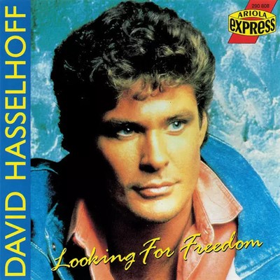 Looking For Freedom, David Hasselhoff