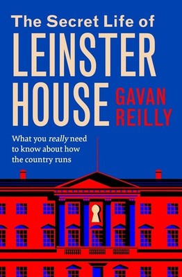 The Secret Life of Leinster House: What you really need to know about how the co