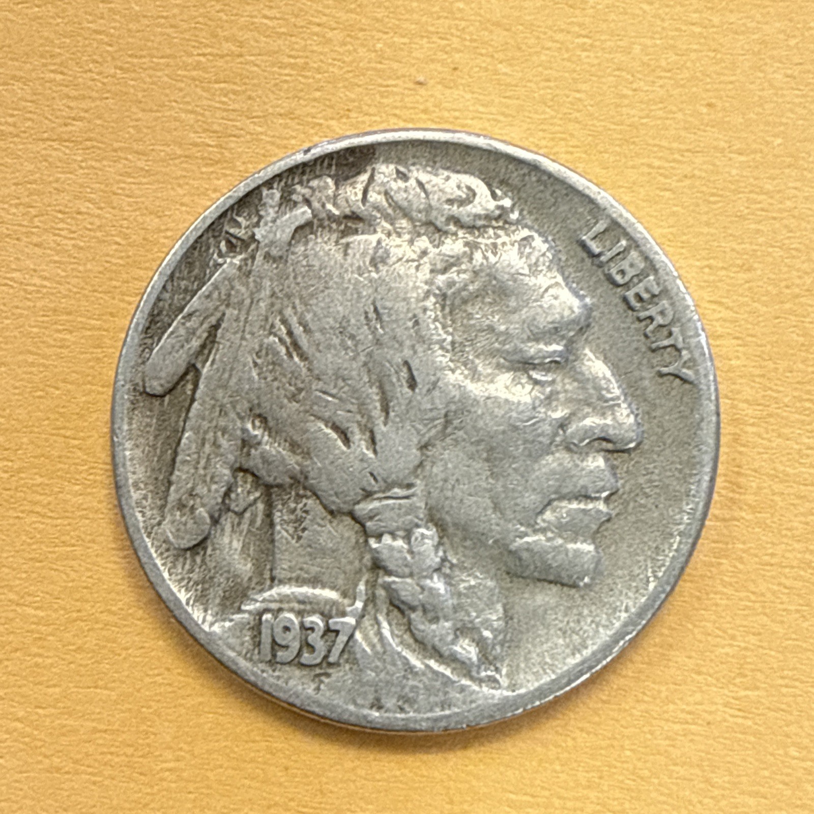 Picture 11 of 13