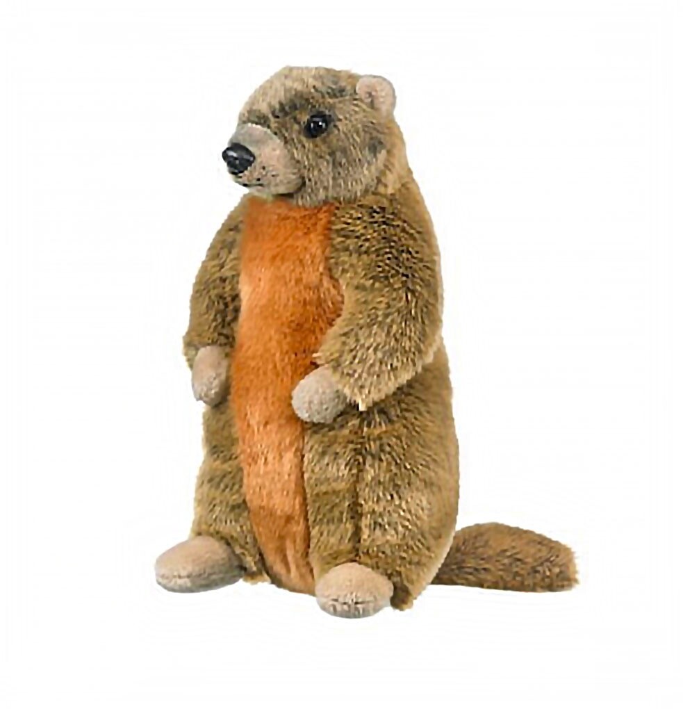 Conservation Critters Yellow-bellied Marmot Plush 10