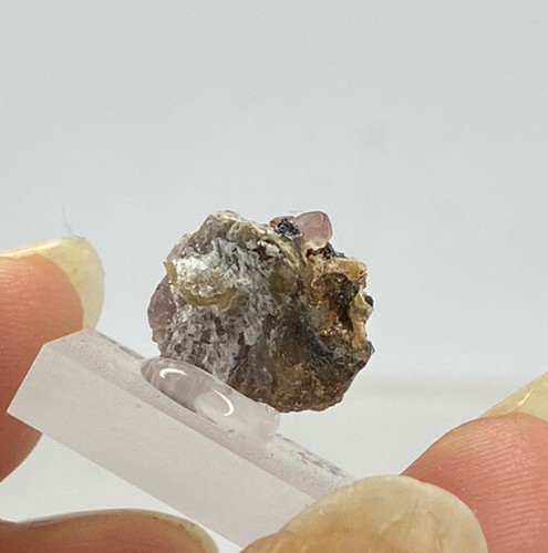 SPINELL Kristall (1.5gr) Spinel Clinohumite Crystal, Mahenge Tanzania - Picture 2 of 3