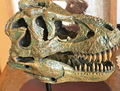 T-Rex LG Maxillary Tooth Cast Replica SN8B Dinosaur Tooth 