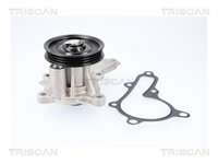 Wasserpumpe MotorküHlung Triscan 8600 43034 FüR Hyundai I20 3 BC3 BI3 I30 PDE PD