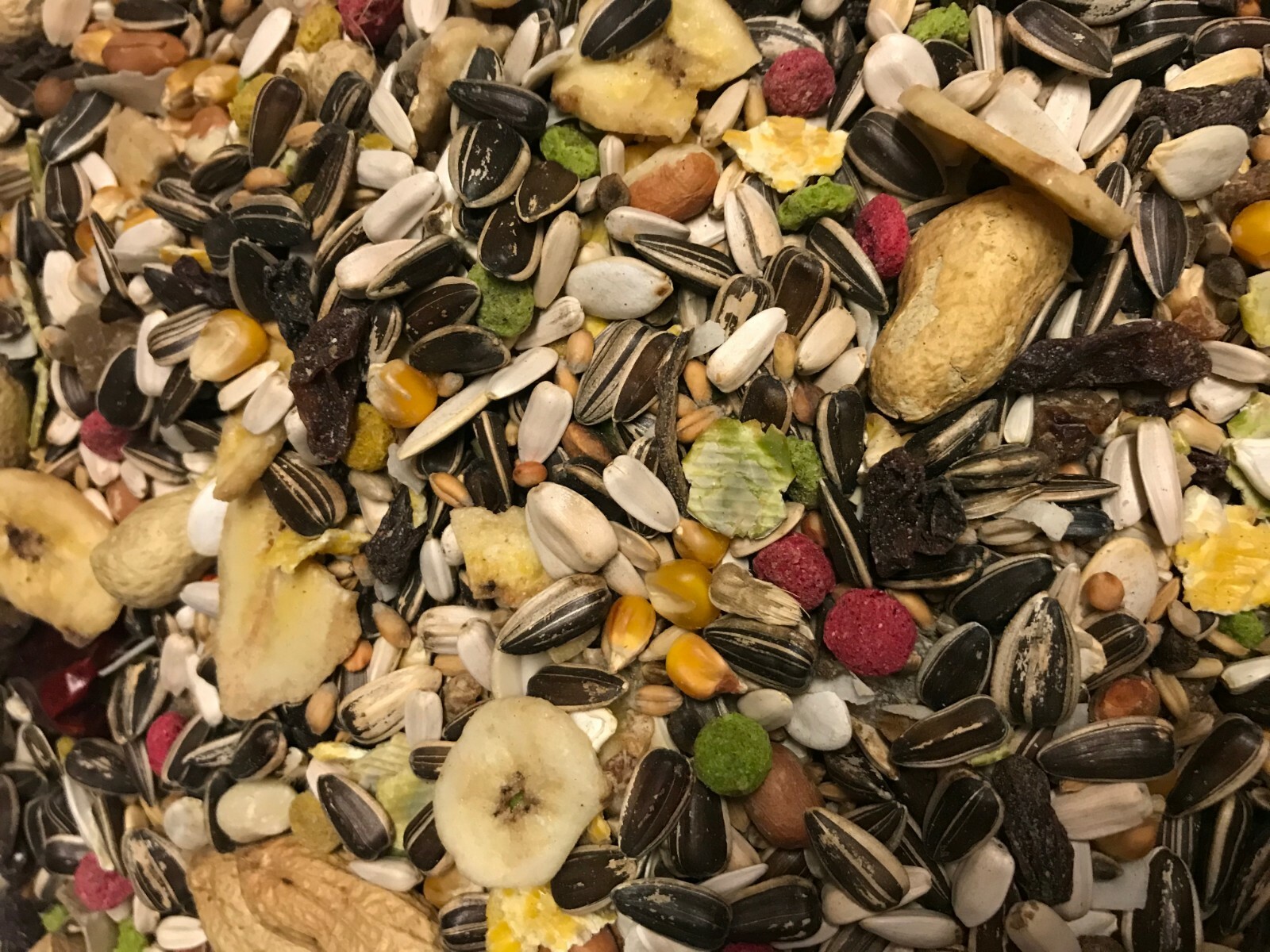 Fruity Parrot food eBay