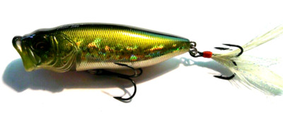 Megabass Pop Max Wobbler, Popper, Topwater, Oberflächenköder, 7,8 cm, Floating