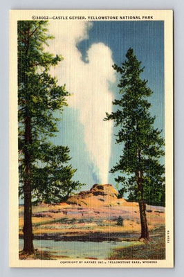 #ad Yellowstone National Park Castle Geyser Series #38002 Vintage Postcard $0.99