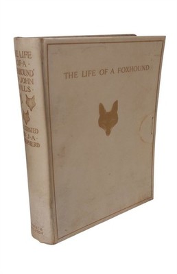 The Life of a Foxhound by John Mills