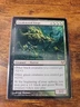 MTG Magic the Gathering Creakwood Liege (117/187) Eventide NM