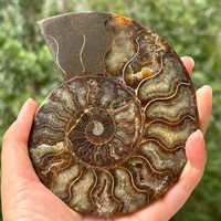 TOP 200G+ Natural Quartz Crystal Mineral Specimen Reiki Healing Care Home Decor 3