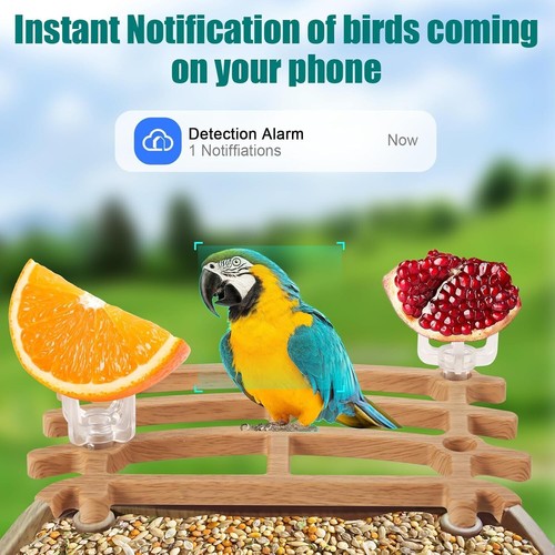 Smart Bird Feeder with Solar Camera Bird Feeder for Outdoors, AI Identify