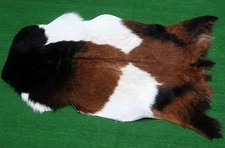 GOAT Western taxidermy Hide Rug Natural Pattern Fur Goat Hide Rode SA-1184