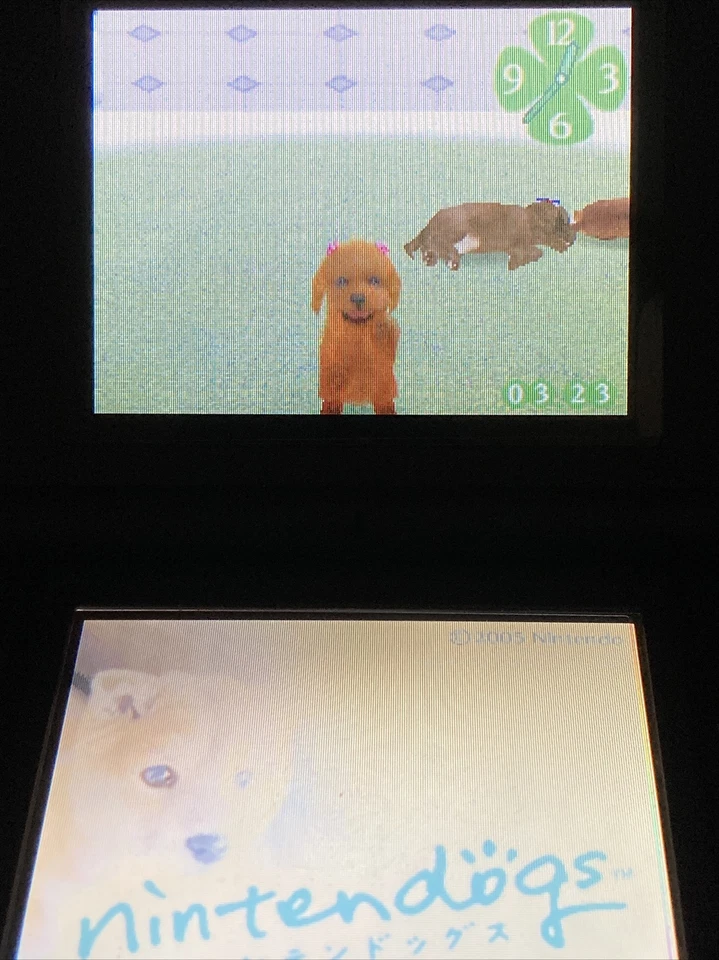 Japan Limited Nintendo DS Nintendogs Shiba and Friends Japanese Breeding Games - Image 4 of 4