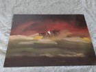 Bild 11 von 12