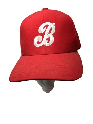 Trucker Hat BaseballCap Snap Back  B  GOOD CONDITION HAS STAIN ON INSIDE BAND