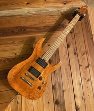 ESP CUSTOM ORDER MODEL Electric Gutiar [AUTH]