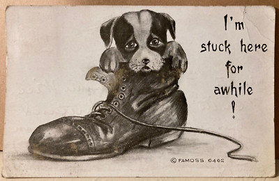 Postcard Puppy in Shoe from Dog-Gone Cat Series c1909